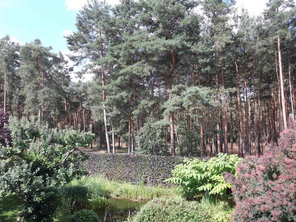 Amselgarten Lübben Exterior foto